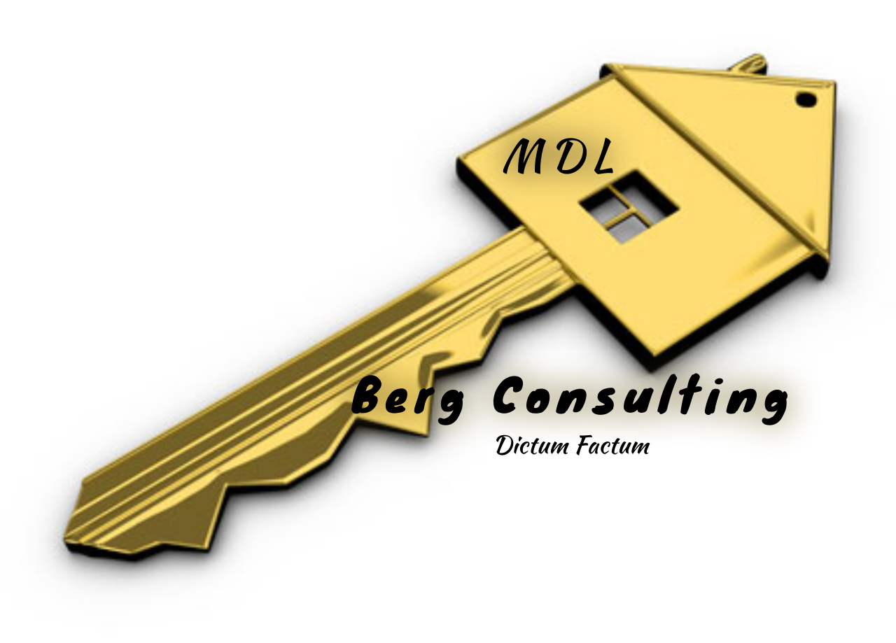 Berg Consulting