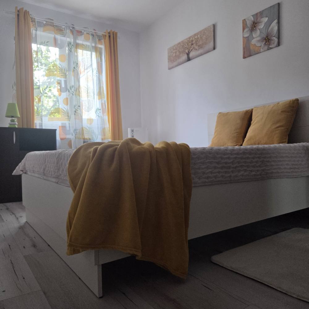 Apartament Cochet