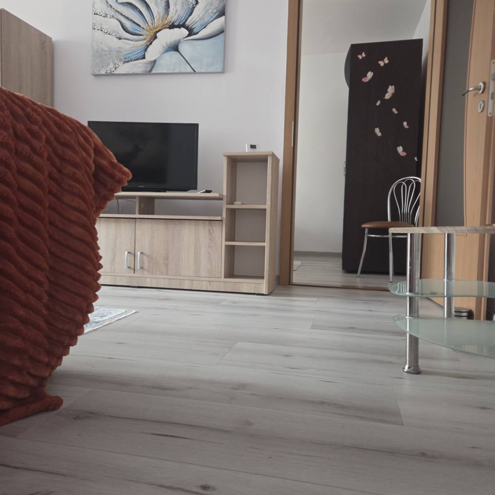 Apartament Cochet