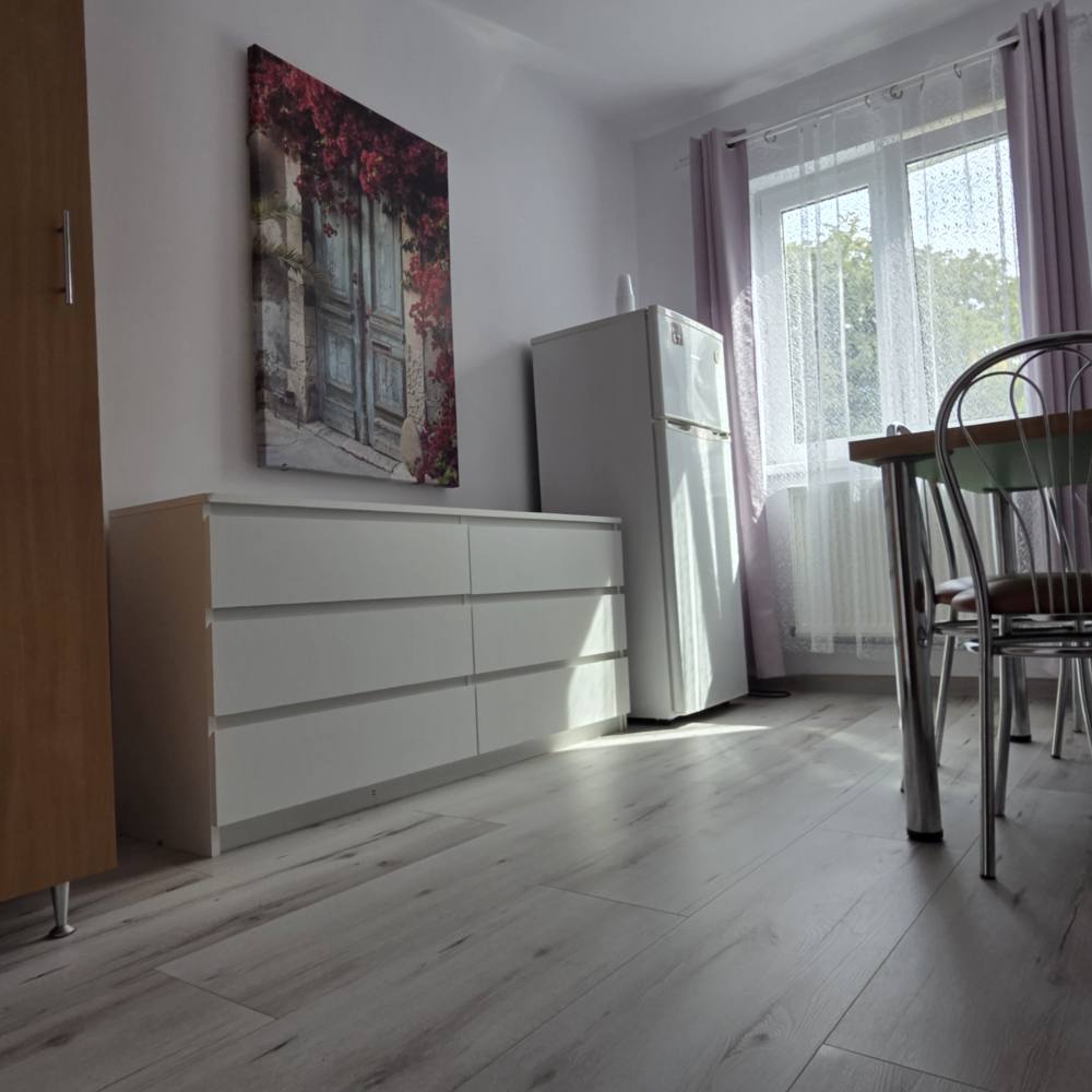 Apartament Cochet